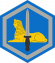 SSI 66th MI Bde