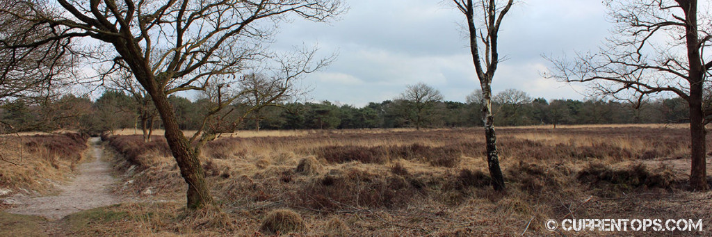 Photo Baggelhuizen Tng Area