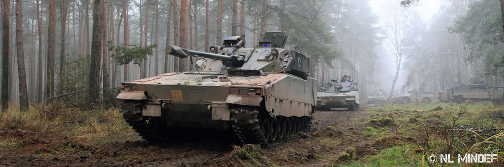 Photo Bison Supremacy